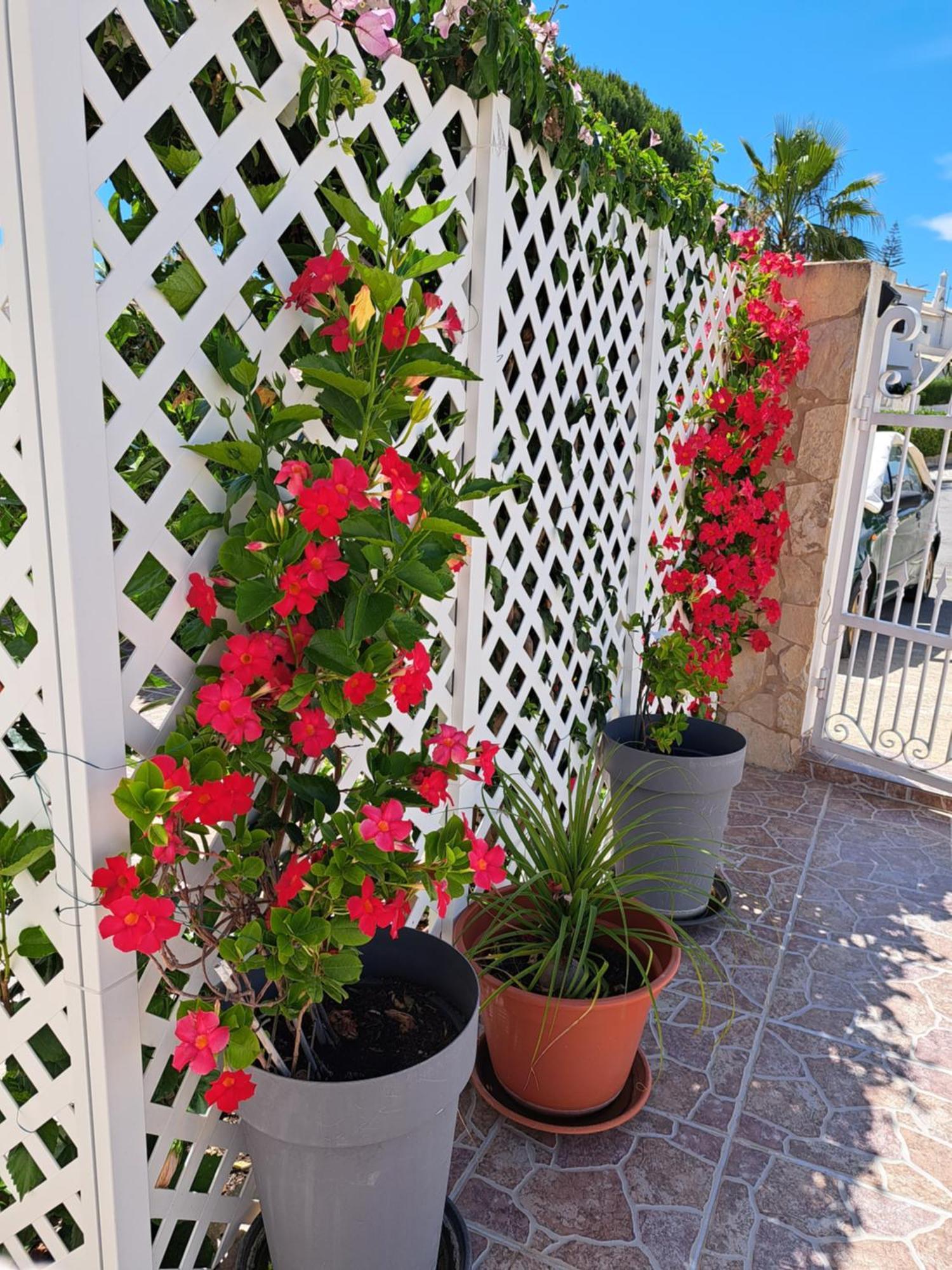 Villa Mariamar Albufeira Exteriör bild
